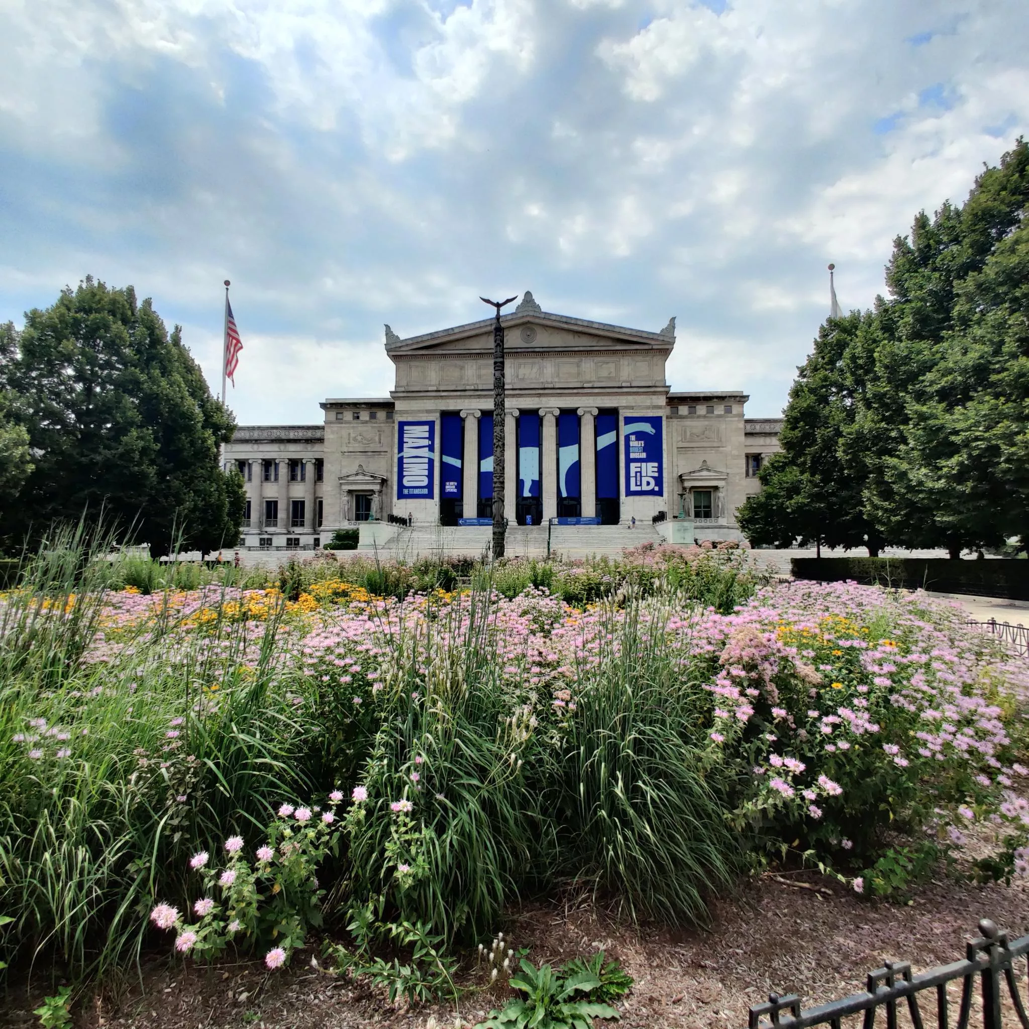 The 
Field Museum
